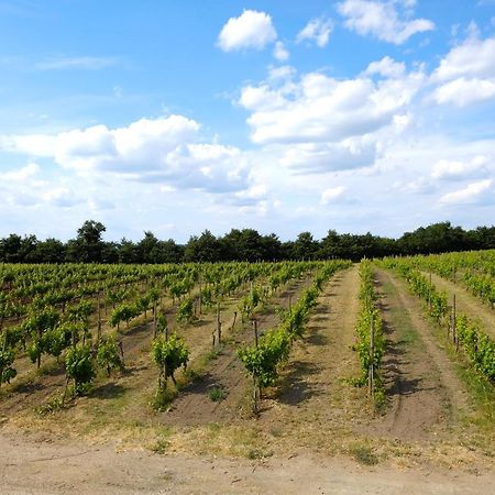 Agriturismo Vigna Sul Lago Монтефьясконе Экстерьер фото