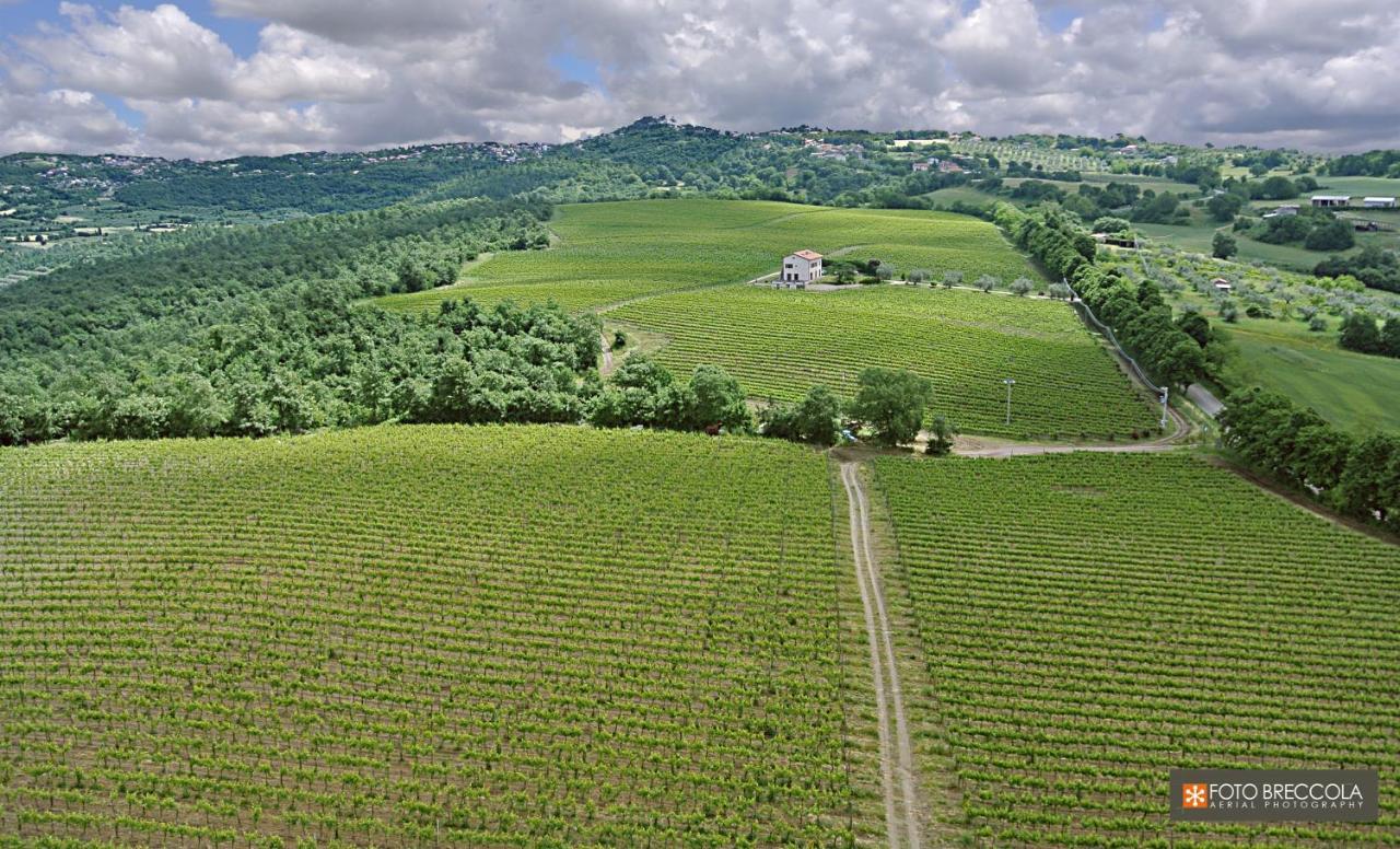 Agriturismo Vigna Sul Lago Монтефьясконе Экстерьер фото