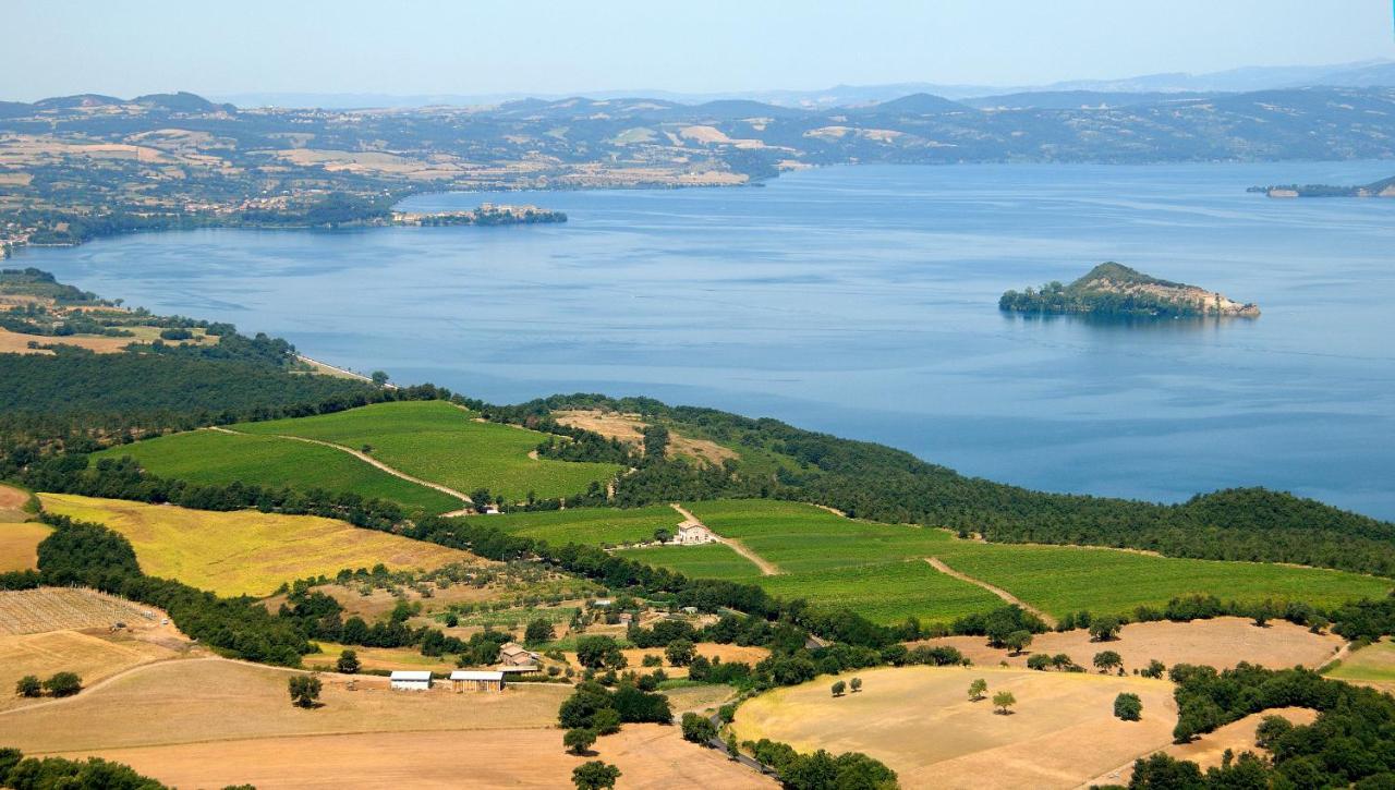 Agriturismo Vigna Sul Lago Монтефьясконе Экстерьер фото
